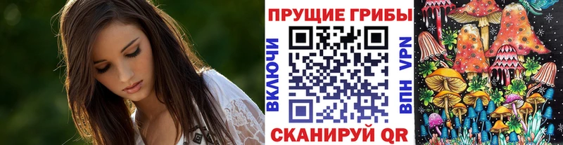 Купить закладки  Сольцы  Псилоцибиновые грибы мухоморы 